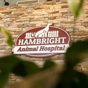Team Page: Hambright Animal Hospital